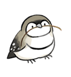 カノコスズメちゃん（個別スタンプ：15）