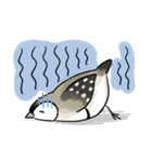 カノコスズメちゃん（個別スタンプ：23）