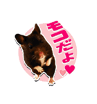 モコⅡ♪（個別スタンプ：1）
