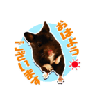 モコⅡ♪（個別スタンプ：2）
