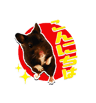 モコⅡ♪（個別スタンプ：4）