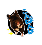 モコⅡ♪（個別スタンプ：5）