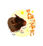 モコⅡ♪（個別スタンプ：9）