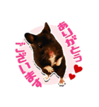 モコⅡ♪（個別スタンプ：10）