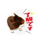 モコⅡ♪（個別スタンプ：12）