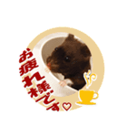 モコⅡ♪（個別スタンプ：14）