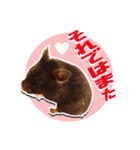 モコⅡ♪（個別スタンプ：15）