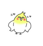 【オカメインコ】スタンプ2（個別スタンプ：1）