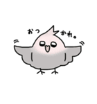 【オカメインコ】スタンプ2（個別スタンプ：5）