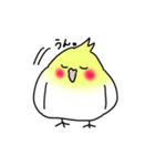 【オカメインコ】スタンプ2（個別スタンプ：8）