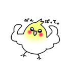 【オカメインコ】スタンプ2（個別スタンプ：10）