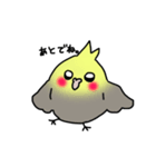 【オカメインコ】スタンプ2（個別スタンプ：12）