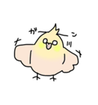 【オカメインコ】スタンプ2（個別スタンプ：13）