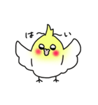 【オカメインコ】スタンプ2（個別スタンプ：16）