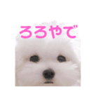 ☁RoRo☁️だよ（個別スタンプ：1）