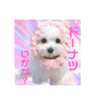 ☁RoRo☁️だよ（個別スタンプ：2）