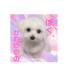 ☁RoRo☁️だよ（個別スタンプ：3）