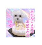 ☁RoRo☁️だよ（個別スタンプ：4）