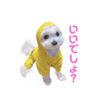 ☁RoRo☁️だよ（個別スタンプ：5）