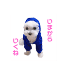 ☁RoRo☁️だよ（個別スタンプ：6）