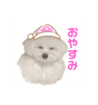 ☁RoRo☁️だよ（個別スタンプ：8）