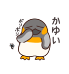 ぺたぺたペンギン（個別スタンプ：31）