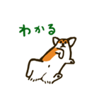 よく転がる犬（個別スタンプ：5）