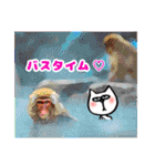 ✱無表情猫の日常✱（個別スタンプ：29）