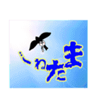 ✱無表情猫の日常✱（個別スタンプ：40）