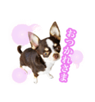 スムチーさんのつぶやき。（個別スタンプ：4）