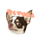 スムチーさんのつぶやき。（個別スタンプ：8）