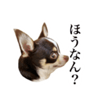 スムチーさんのつぶやき。（個別スタンプ：9）
