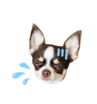 スムチーさんのつぶやき。（個別スタンプ：17）