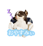 スムチーさんのつぶやき。（個別スタンプ：20）