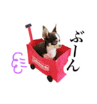 スムチーさんのつぶやき。（個別スタンプ：23）