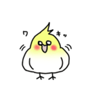 【オカメインコ】スタンプ（個別スタンプ：1）