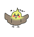 【オカメインコ】スタンプ（個別スタンプ：2）