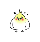 【オカメインコ】スタンプ（個別スタンプ：4）
