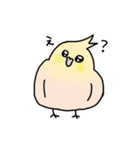 【オカメインコ】スタンプ（個別スタンプ：5）