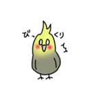 【オカメインコ】スタンプ（個別スタンプ：6）