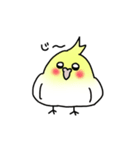 【オカメインコ】スタンプ（個別スタンプ：7）