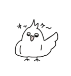 【オカメインコ】スタンプ（個別スタンプ：9）