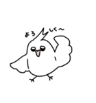 【オカメインコ】スタンプ（個別スタンプ：13）
