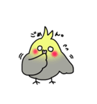 【オカメインコ】スタンプ（個別スタンプ：16）