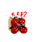 トマトアイドル収穫祭（個別スタンプ：26）