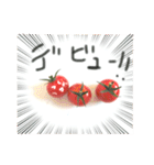 トマトアイドル収穫祭（個別スタンプ：30）