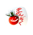 トマトアイドル収穫祭（個別スタンプ：32）
