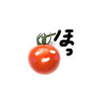 トマトアイドル収穫祭（個別スタンプ：36）