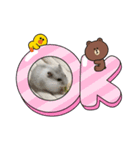 きなこ＆ハム＆もなか＆サボテン（個別スタンプ：2）