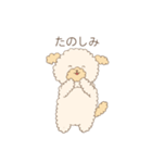 もこもこトイプーの日常スタンプ（個別スタンプ：8）